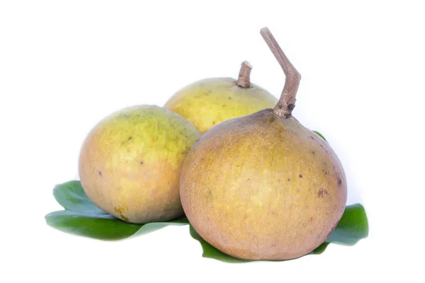 Santol Frucht auf weißem Hintergrund — Stockfoto