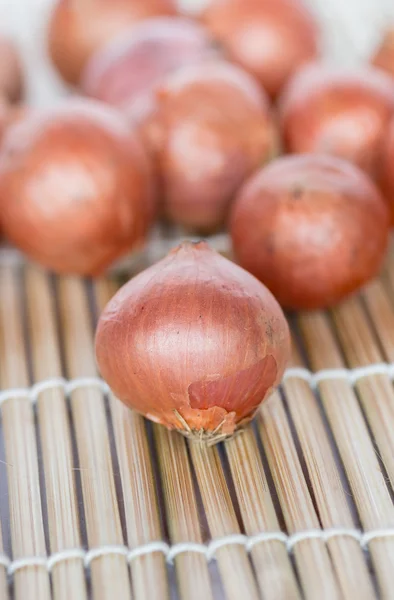 Bombillas de cebolla fresca — Foto de Stock