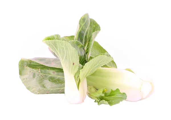 Cos sallad — Stockfoto