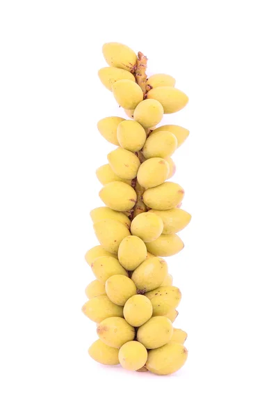 Betelnötter nötter — Stockfoto