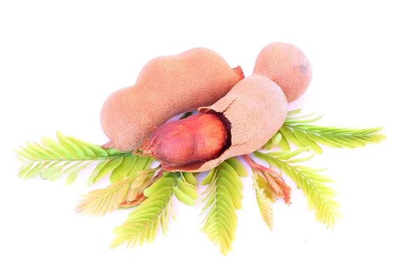 Tamarind — Stock Photo, Image