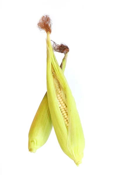 Beyaz arkaplanda mısır — Stok fotoğraf