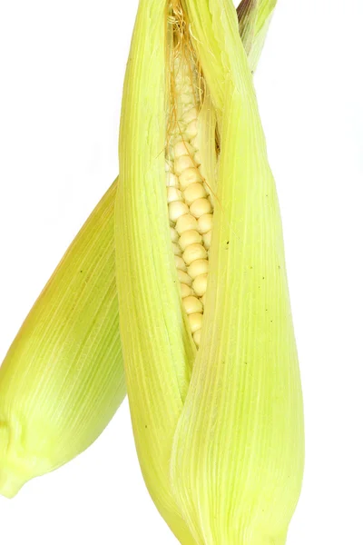 Mais auf weißem Hintergrund — Stockfoto