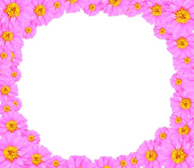 pembe çiçekler 