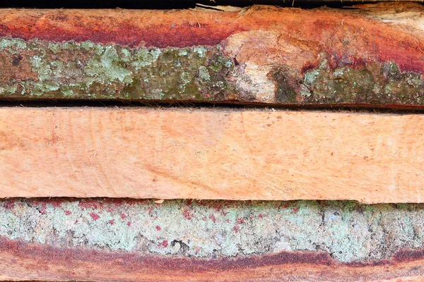 Detalhe da seção transversal da superfície de madeira dura velha — Fotografia de Stock
