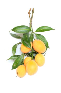 Maprang: tropikal meyve Tayland 