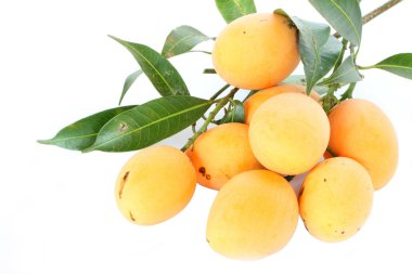 Maprang: tropikal meyve Tayland 