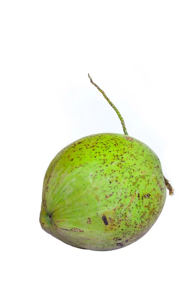 Kelapa Hijau — Stok Foto