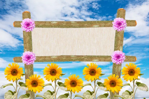 Tekenen in de tuin zonnebloem bloemen — Stockfoto