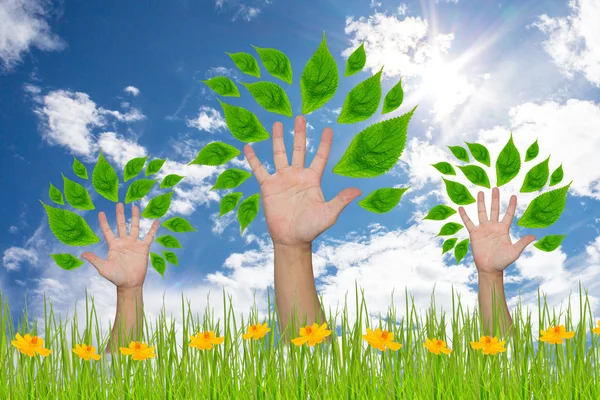 Hand forming a tree with leaves — Stock Photo, Image