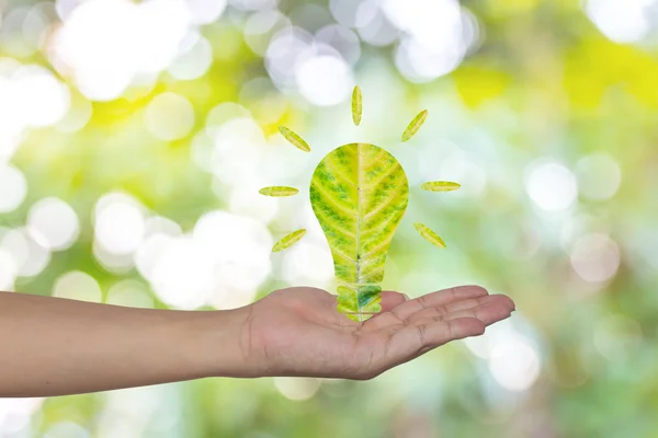 Light bulb made of green leaf on woman hands  Green eco energy c