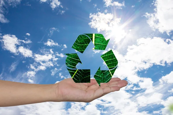 Flechas de reciclaje de hoja verde en las manos de la mujer Ecología Conc — Foto de Stock