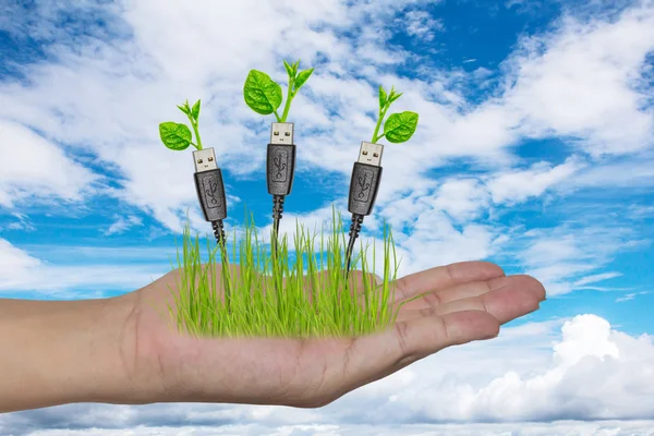 Mano sosteniendo un cable USB con una pequeña planta —  Fotos de Stock