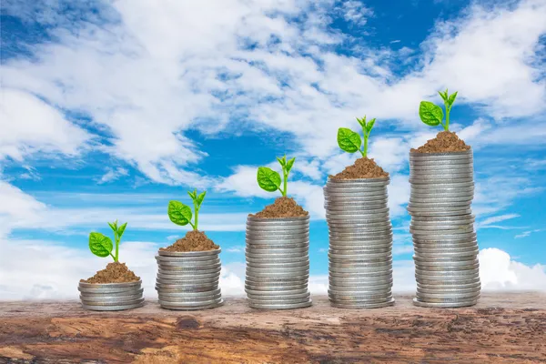 madeni para yığınları üzerinde çimlenme dizisindeki büyüyen ağaçlar