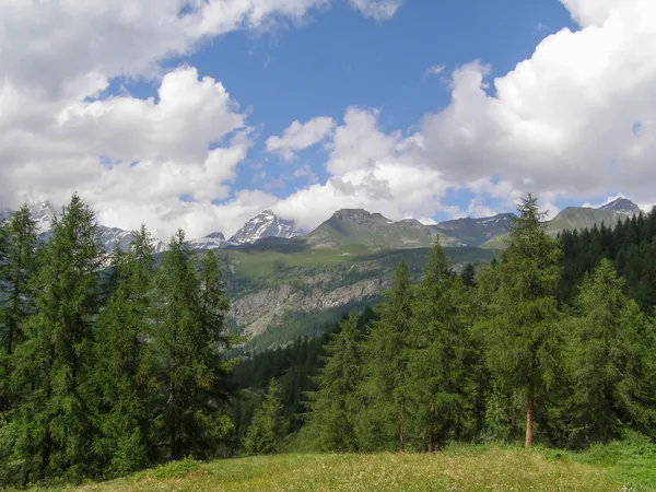 Lembah Cervinia Aosta — Stok Foto