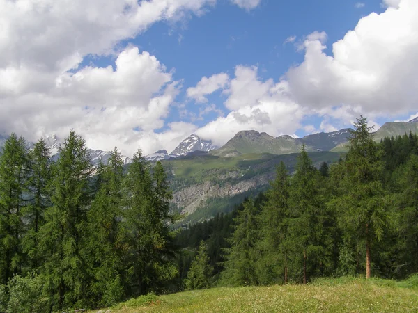 Cervinia Aosta Valley — Stock Photo, Image