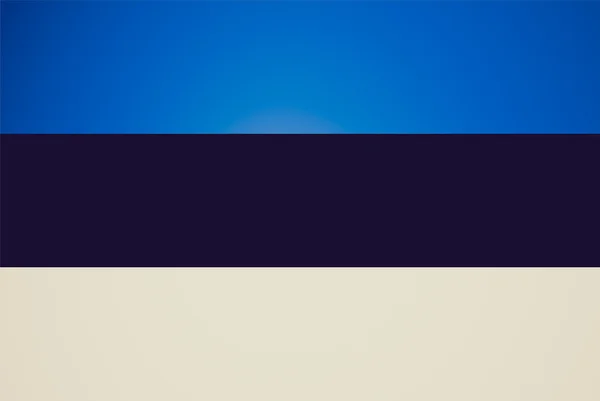 Retro look National flag of Estonia — Stock Photo, Image