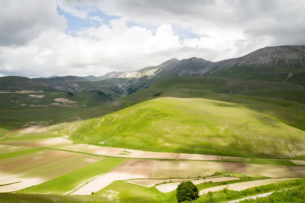 Castelluccio Di Norcia — Stock Photo, Image