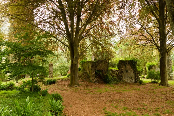 Jardín de ninfas — Foto de Stock