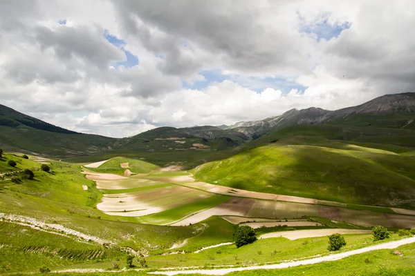 Castelluccio Di Norcia Stok Fotoğraf