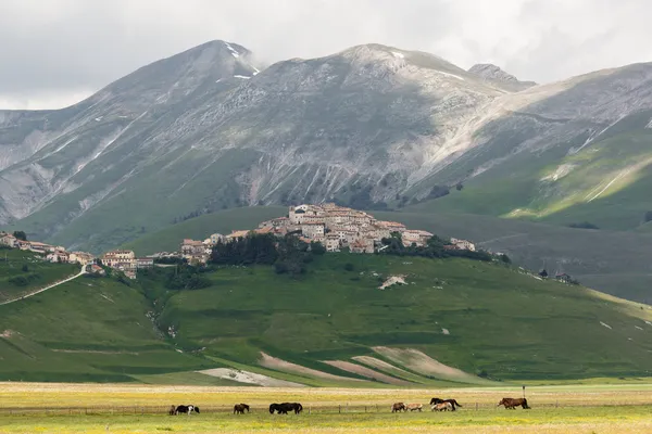 Castelluccio Di Norcia Rechtenvrije Stockfoto's