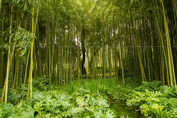 Nymfa tuin Rechtenvrije Stockfoto's