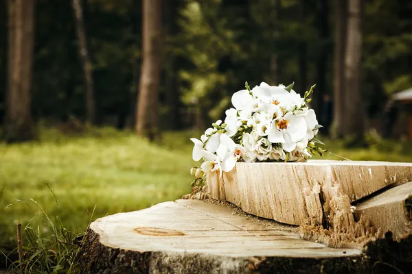 Strauß weißer Orchideen im Wald mit Bäumen und grünem Gras in — Stockfoto