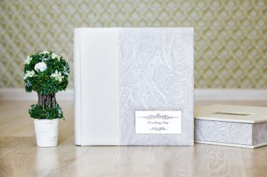 Düğün fotoğraf albümü ve dekoratif bir ağaç