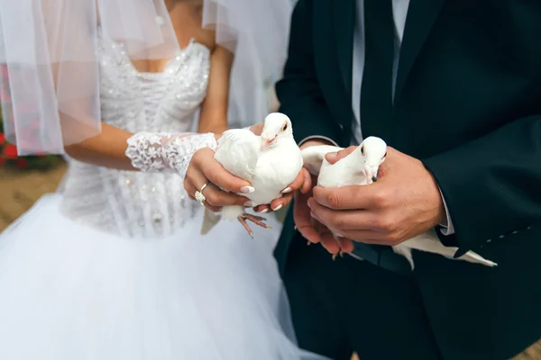 Невеста и жених держат белых голубей — стоковое фото
