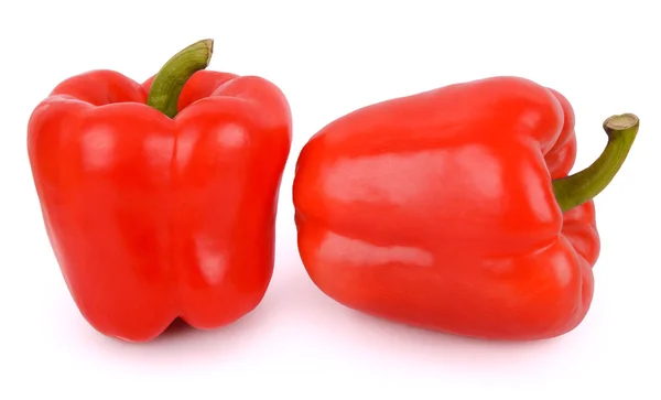 Red pepper isolated on white background — Stock Photo, Image