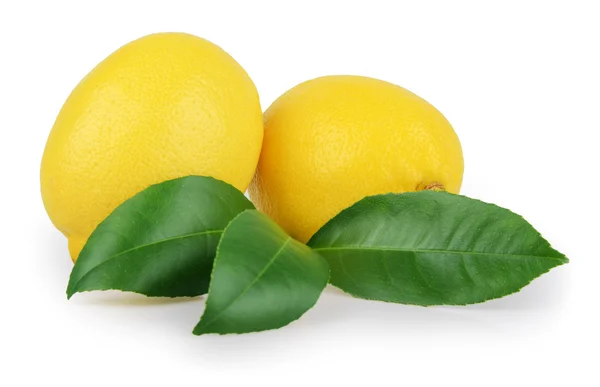 Fresh lemon isolated on white — Stock Photo, Image