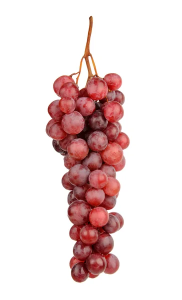 Uvas vermelhas isoladas sobre fundo branco — Fotografia de Stock