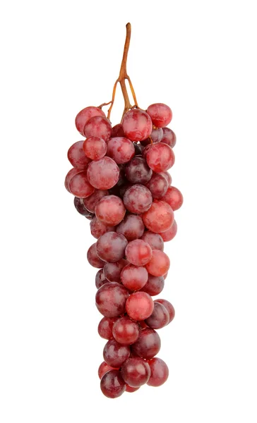 Uvas rojas aisladas sobre fondo blanco — Foto de Stock