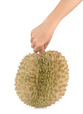 Beyaz arkaplanda el ele tutuşan Durian dilimi