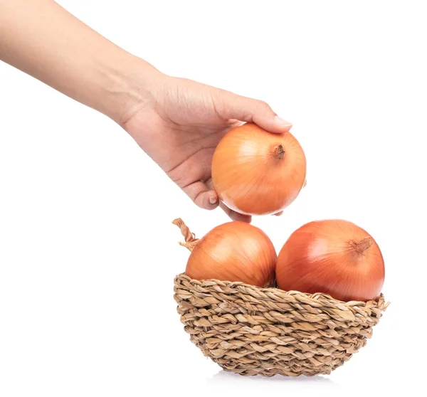 Hand Holding Onion Basket Isolated White Background — Stock Photo, Image