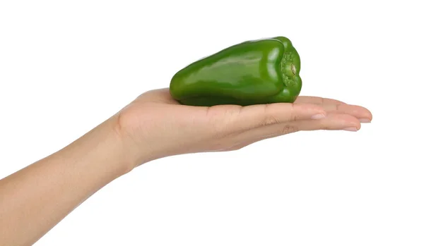 Hand Holding Green Bell Peppers Isolated White Background — Stock Photo, Image