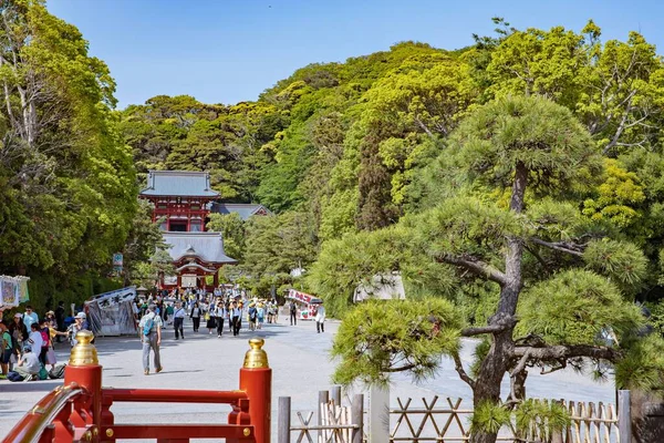 Kamakura Ιαπωνία Μάιος 2019 Ιερό Τέμενος Και Κήποι Τσουρουγκάοκα Χατσιμάνγκου — Φωτογραφία Αρχείου