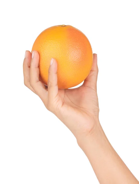 Mão Segurando Toranja Isolada Fundo Branco — Fotografia de Stock