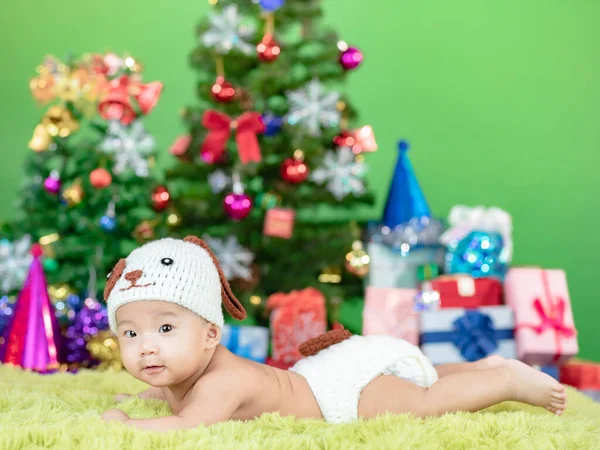 快乐的圣诞树 可爱的小宝宝穿着狗服装编织的钩针 — 图库照片