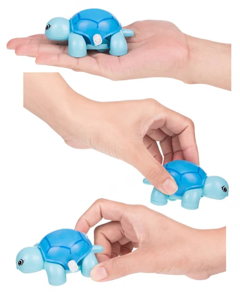 Set Med Hand Håller Toy Turtle Wind Isolerad Vit Bakgrund — Stockfoto