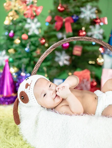Szczęśliwego Nowego Roku Choinka Cute Little Baby Noszenie Kostium Psa — Zdjęcie stockowe