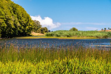 Güneşli bir yaz gününde Biviere Gölü manzarası, Nebrodi Ulusal Parkı, Sicilya, İtalya