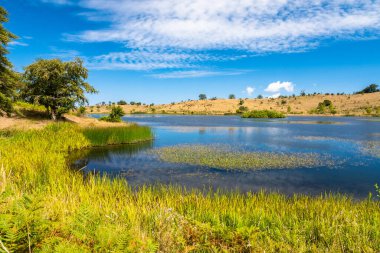 Güneşli bir yaz gününde Biviere Gölü manzarası, Nebrodi Ulusal Parkı, Sicilya, İtalya
