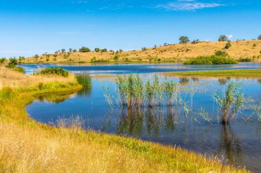 Güneşli bir yaz gününde Biviere Gölü manzarası, Nebrodi Ulusal Parkı, Sicilya, İtalya