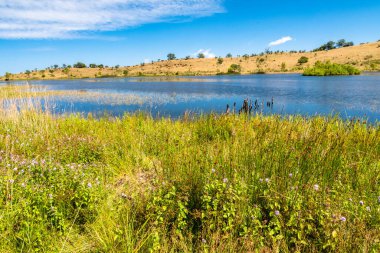 Güneşli bir yaz gününde Biviere Gölü manzarası, Nebrodi Ulusal Parkı, Sicilya, İtalya