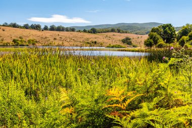 Güneşli bir yaz gününde Biviere Gölü manzarası, Nebrodi Ulusal Parkı, Sicilya, İtalya