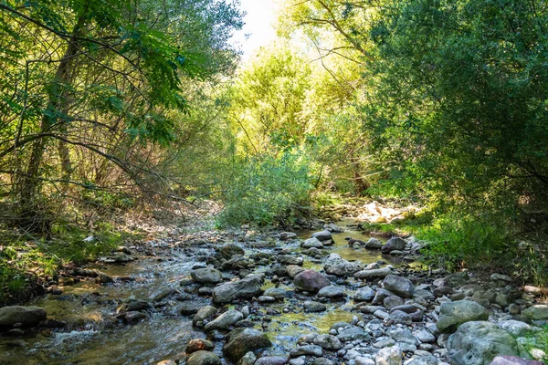 Canyon och floden bildar den så kallade Stretta di Longi, Galati Mamertino — Stockfoto