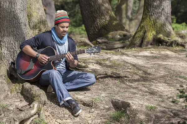 Musicista — Foto Stock