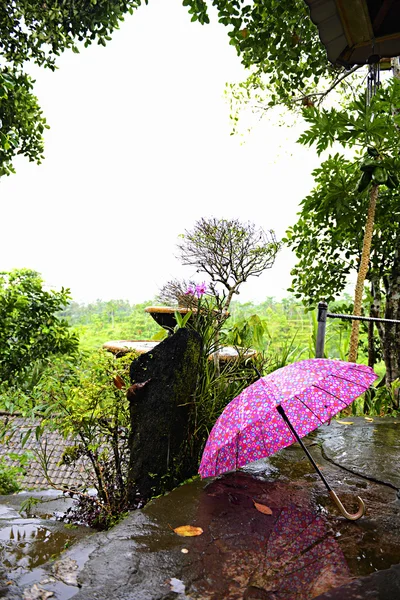 stock image Composition with an umbrella