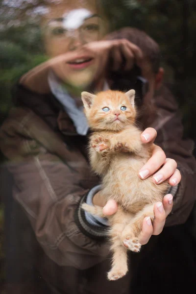 Kitten in hands — Stock Photo, Image